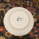 11 piert import plates
