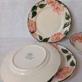 Villeroy And Boch Wild Rose Plates