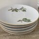 Vintage porcelain herbarium service 6 cups with plates