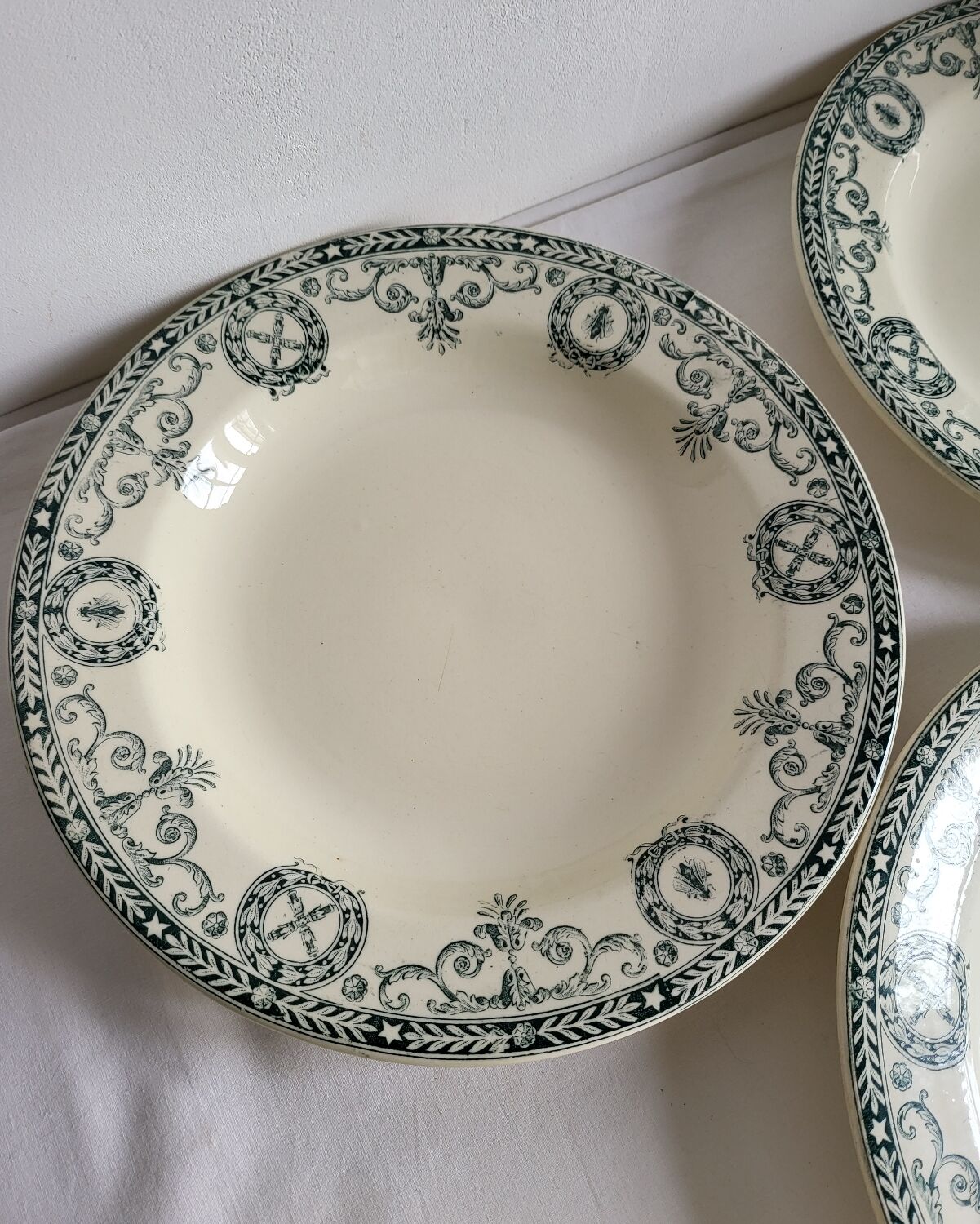 11 Deep Plates Ironstone Salins Cambacérès Decor