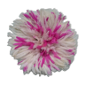 Juju hat white speckled pink 60 cm