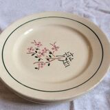 4 dinner plates