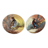 Set of decorative plates