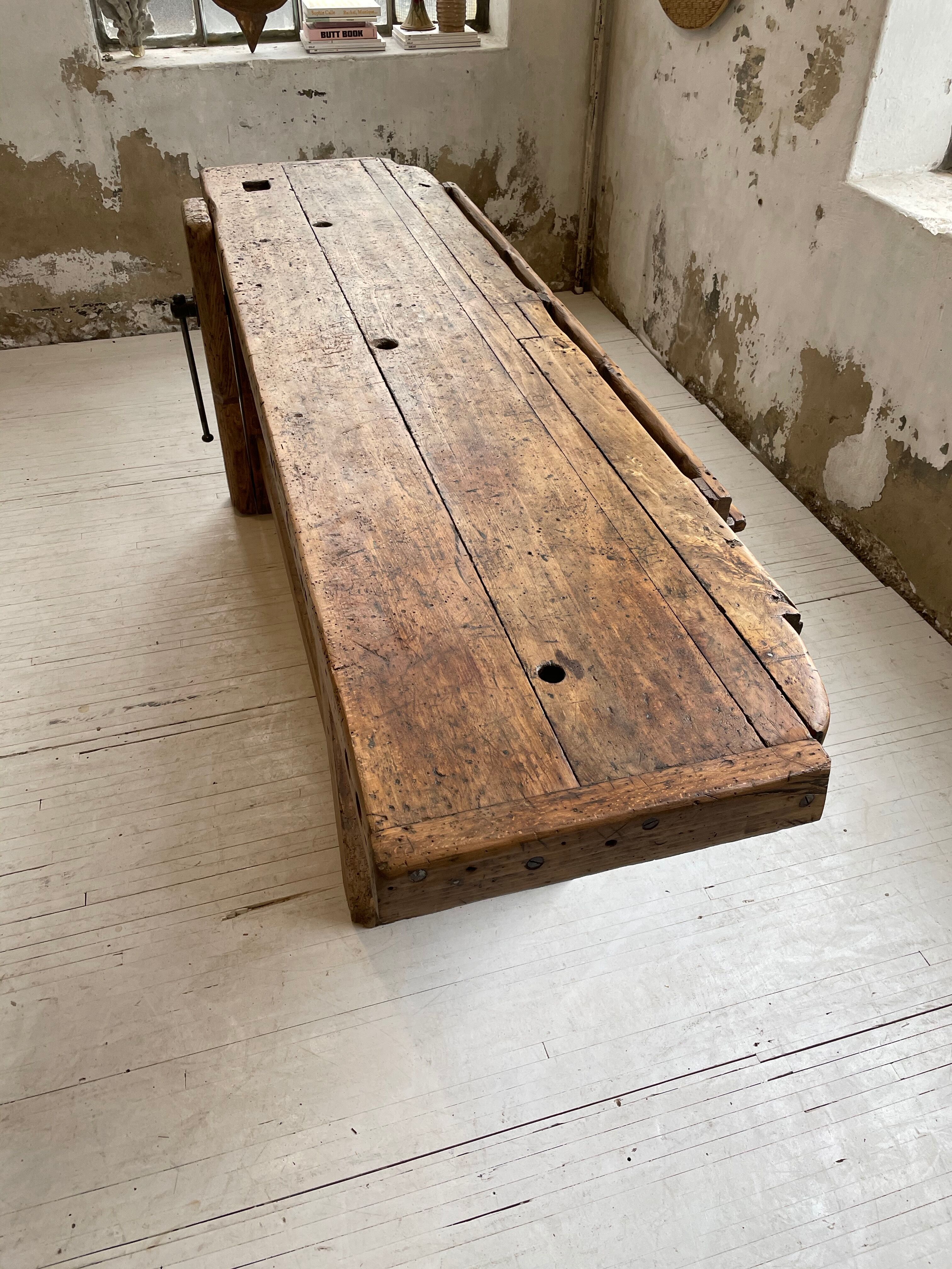 Established old oak XL