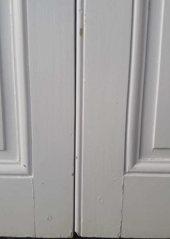 Pair of doors 229,5x110cm closet