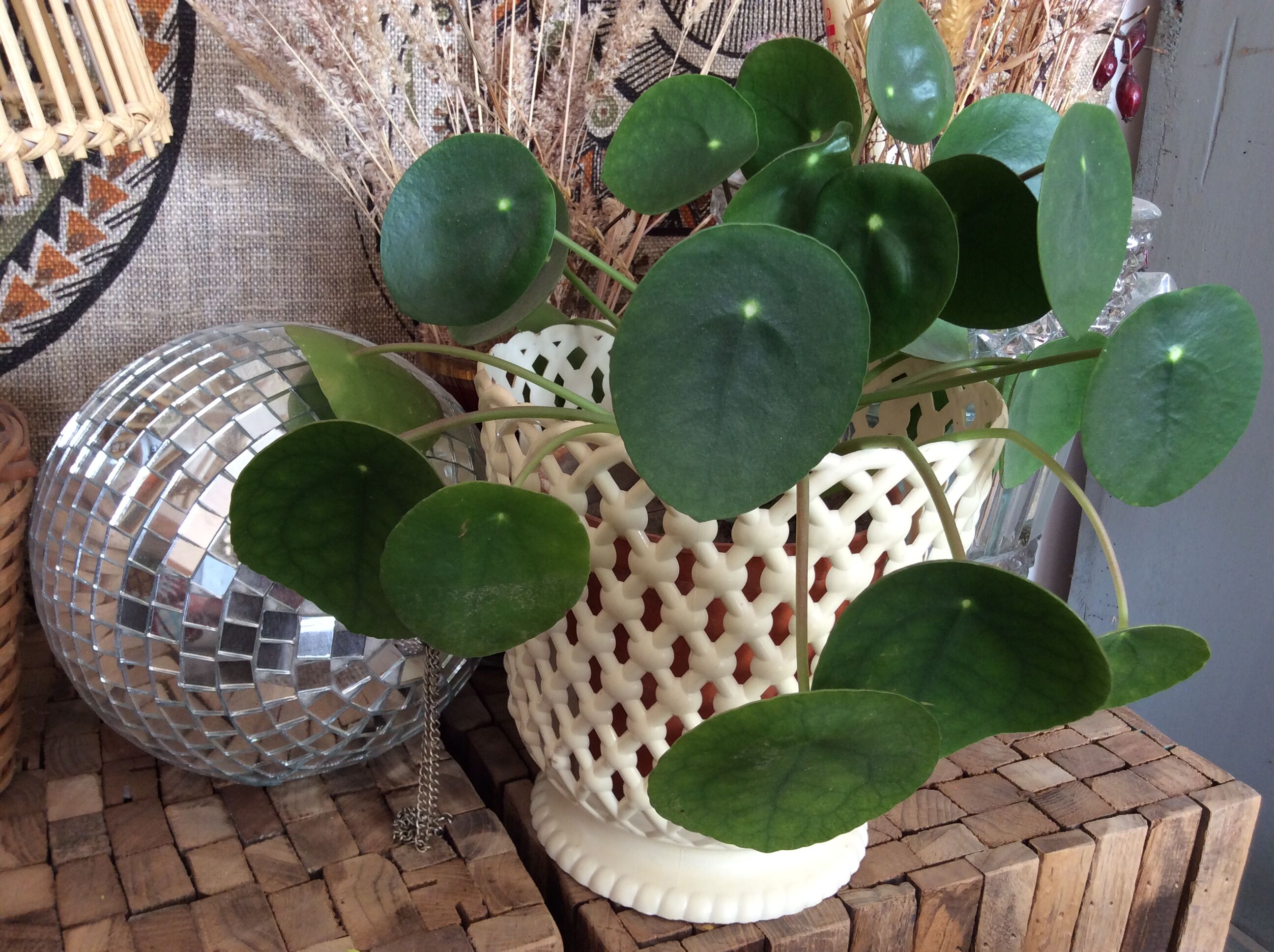 Hard plastic pot cover