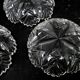 set of 4 plates