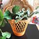 Orange flowerpot