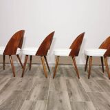 Dining Chairs by Antonin Suman, 1960s, Set of 4