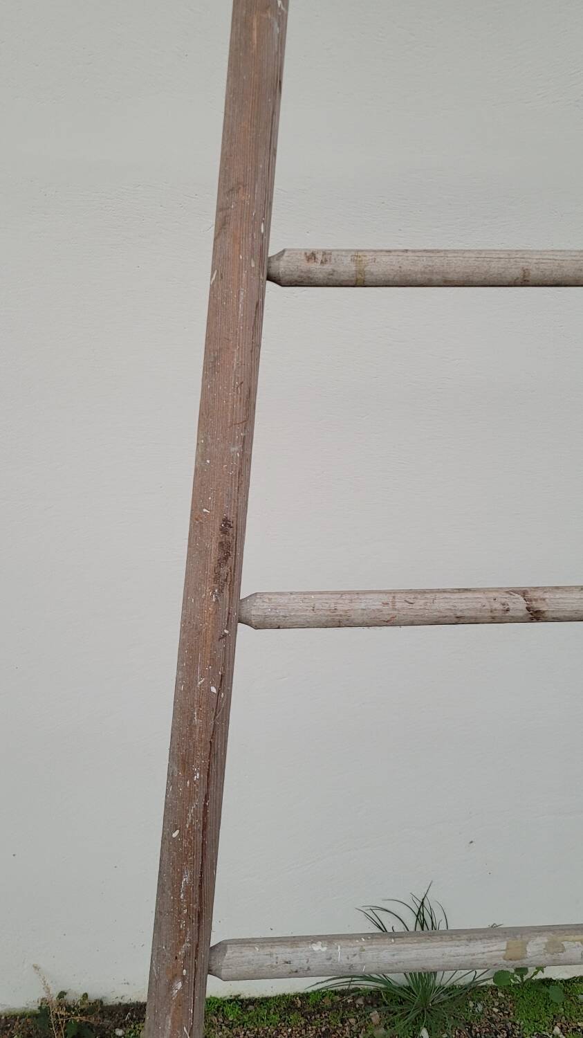 Old wooden fruit harvest market gardener's ladder - 3m65