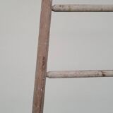 Échelle de maraîcher récolte fruitière en bois ancien -3m65