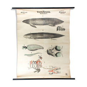Affiche murale ancien XIXe siècle