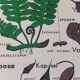 Vintage educational wall hanging roll chart biology