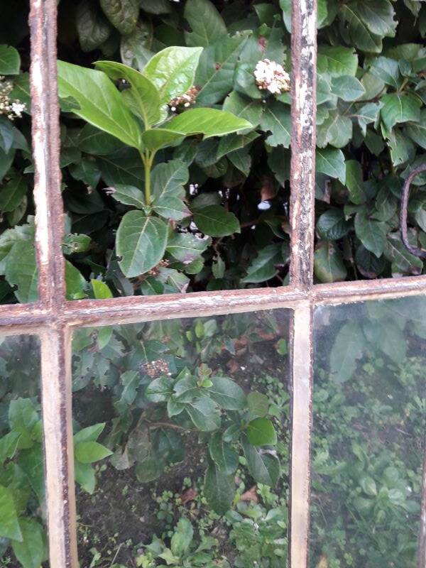 Industrial arched metal window L128xH114 19th century glass roof 2 leaves