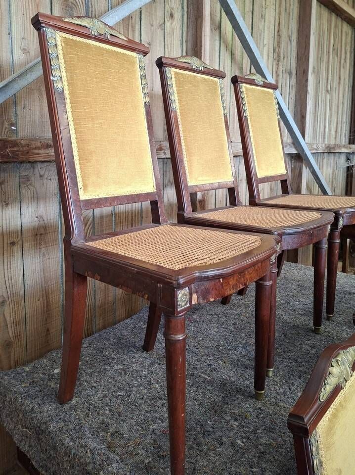 Set of 6 Empire dining chairs – Mahogany, gilded bronze (ombp)