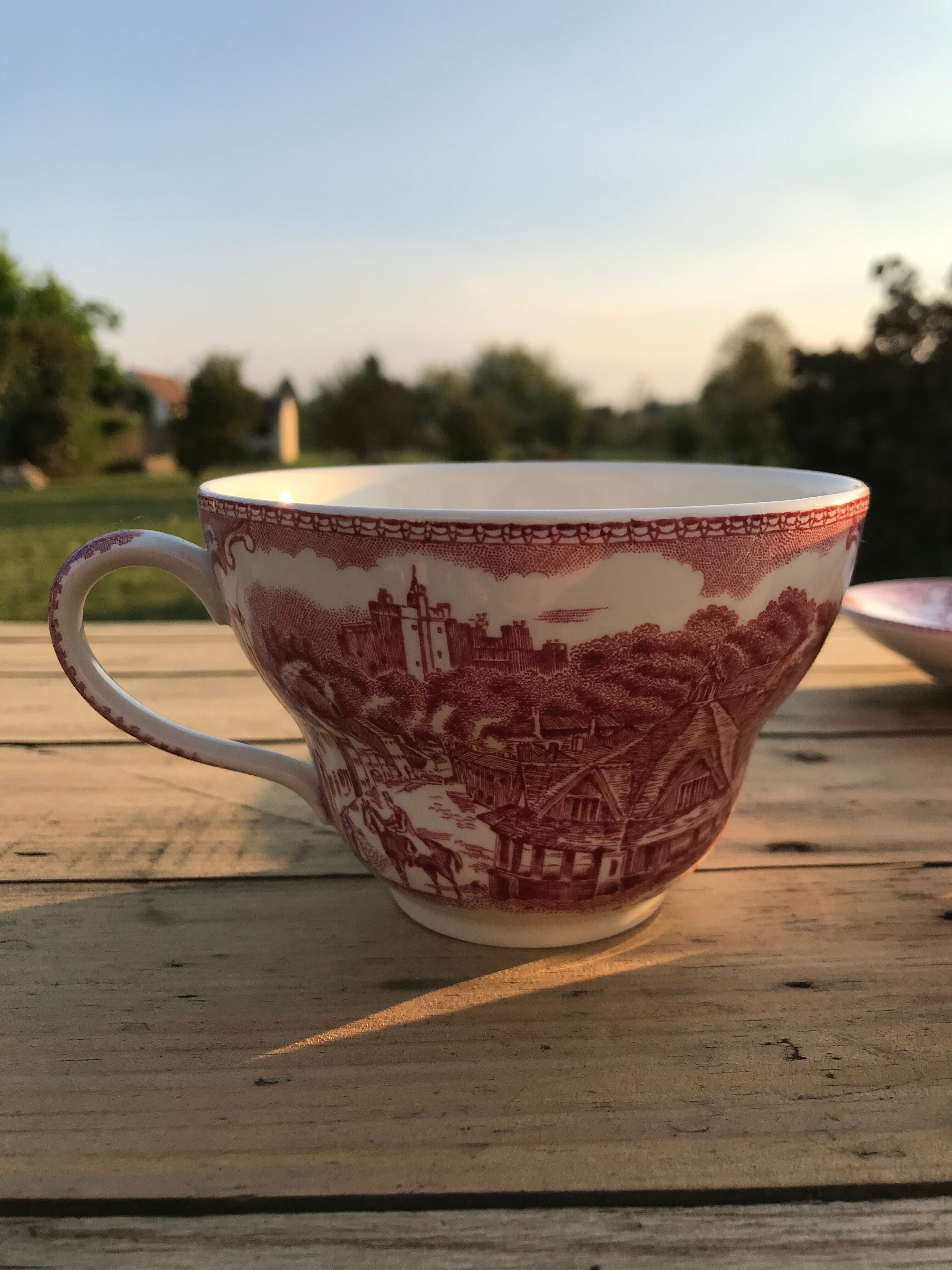 Cup with vintage saucer