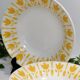 6 assiettes Lys Diguoin Sarreguemines