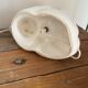 Lampe chat 