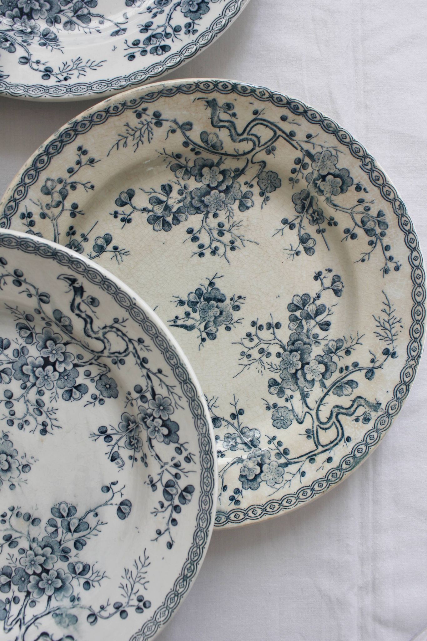 10 flat plates in iron earth "Fleurette" Gien gold medals