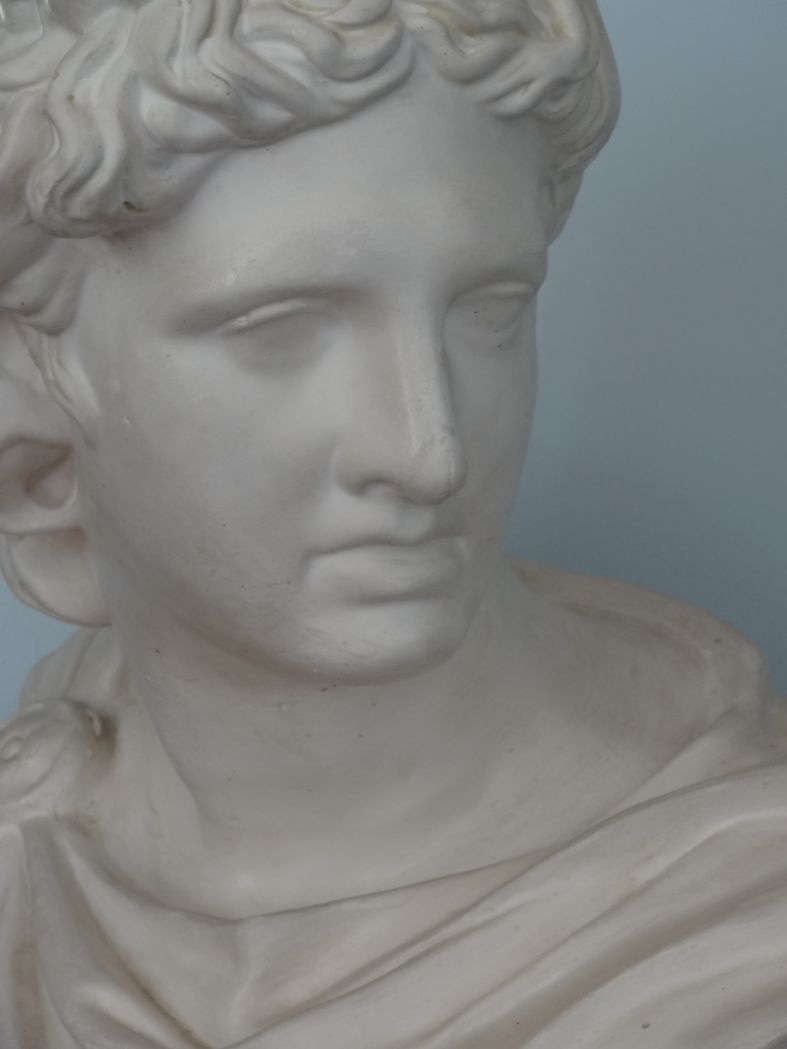 Plaster bust in the antique Apollo of the Belvedere, 70 cm