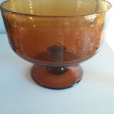 Biot cut and glasses