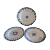 Old flat plates made of ironstone