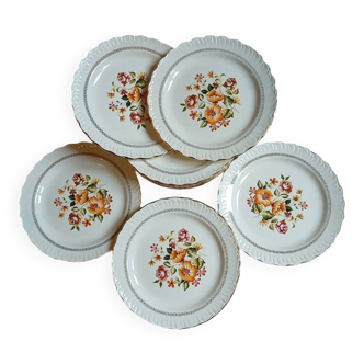 12 antique flat plates "Capri"