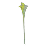 Fleur ancienne Murano