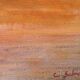 Painting on cardboard entoiled by C. Salmon "flower bouquet"