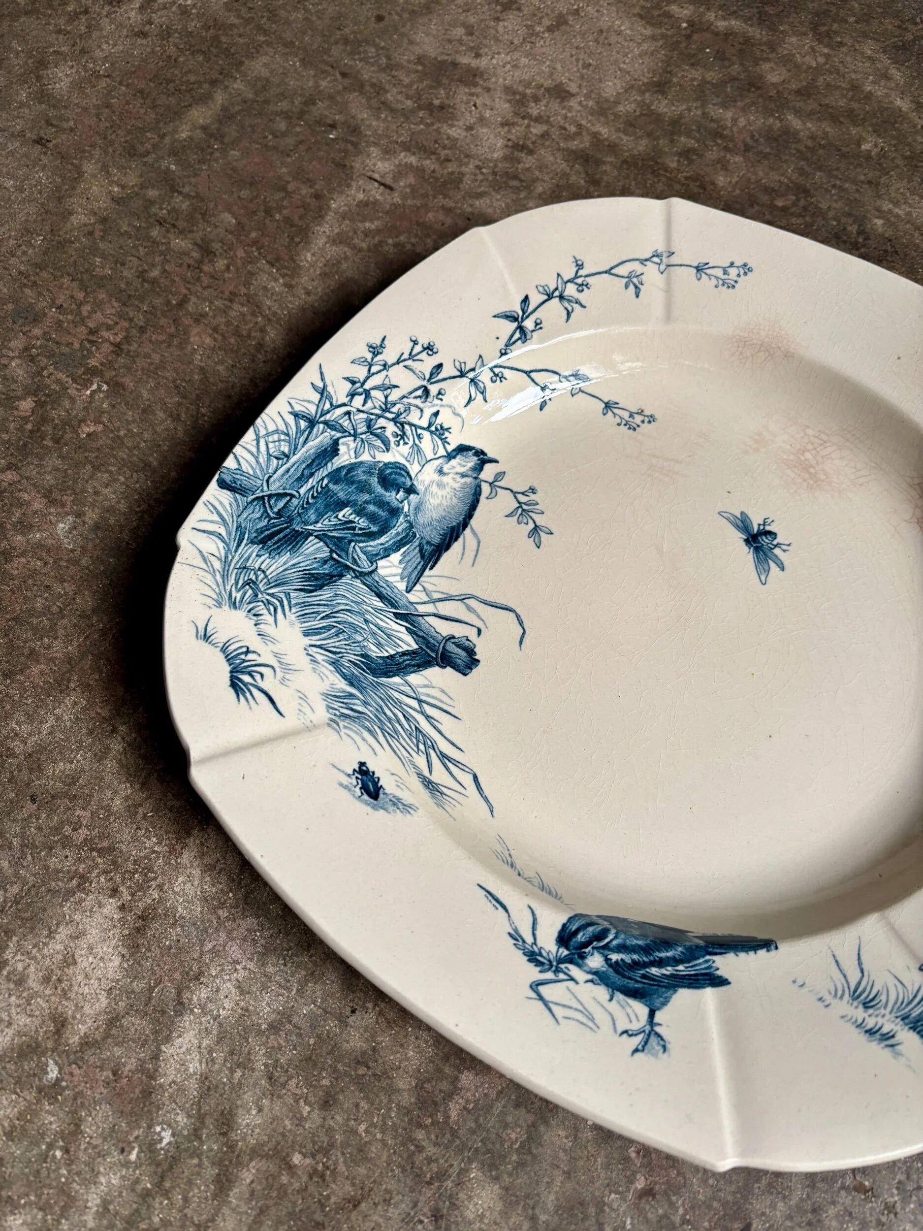 Medium square hollow plate Gien in blue ironstone, service "Birds" around 1870.