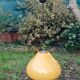 Suspension opaline vintage couleur moutarde