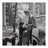 Inga Lindgren And Poodles, 1956