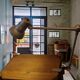 Vintage industrial architect lamp lumina – 1950s/60s