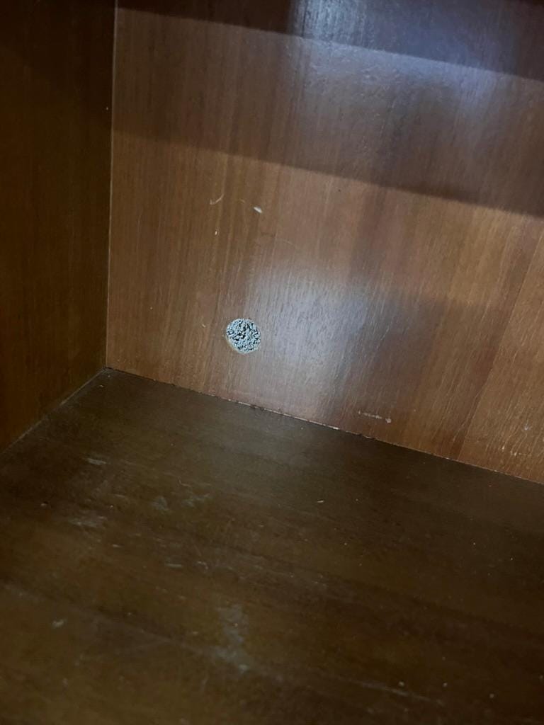 Library / vintage wooden display cabinet