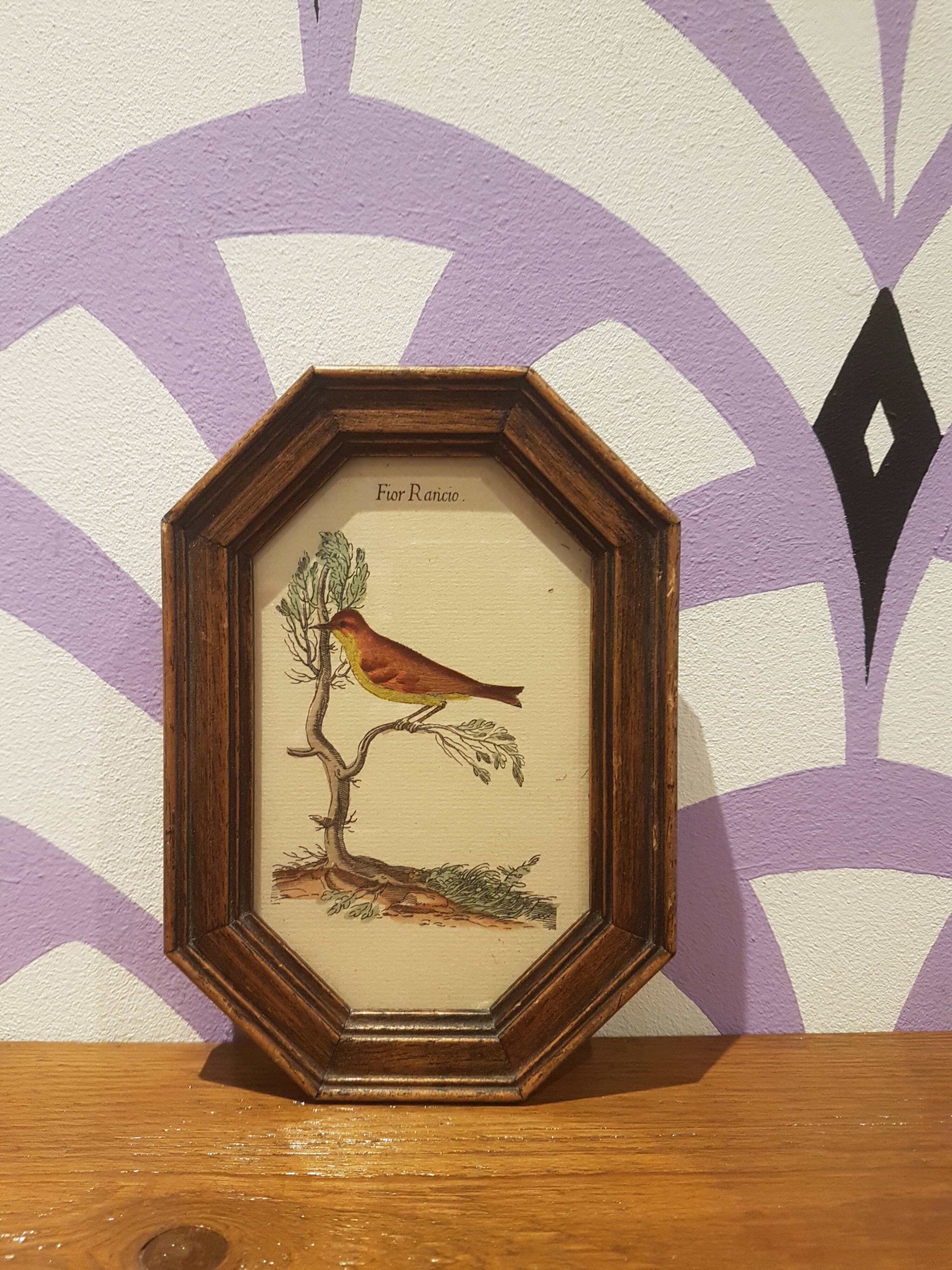 Paire de cadres ornithologie art déco
