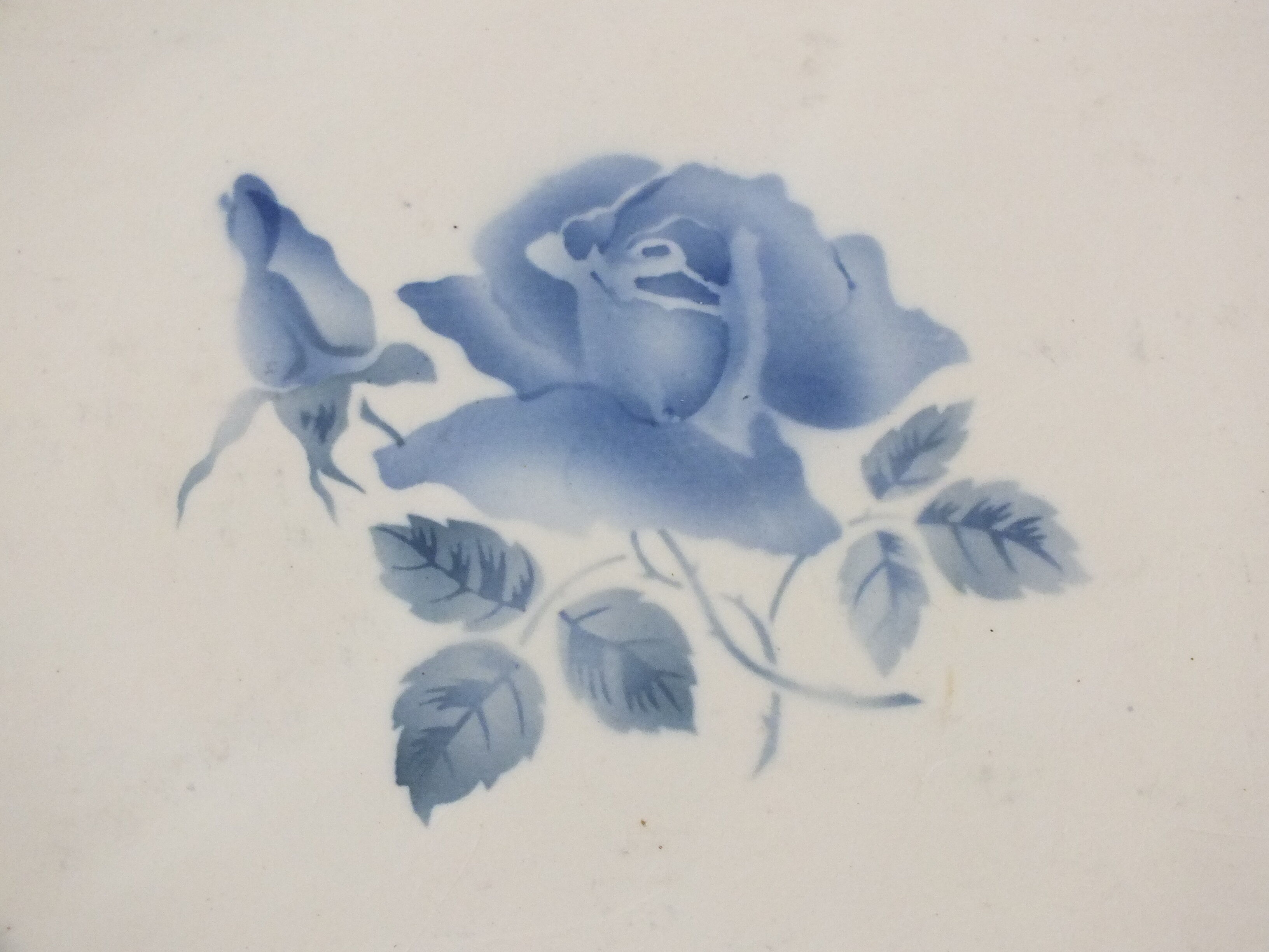 Old trivia Sarreguemines and Digoin - Rose Bleue
