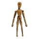 Ancien mannequin d’atelier d’artiste
