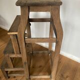 Nineteenth bookcase ladder