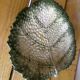 Empty Pocket / Basket / Ceramic Dish Barbotine Cabbage Leaf signed GV