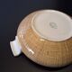 Very beautiful old soup tureen from Villeroy & Boch in very good condition.