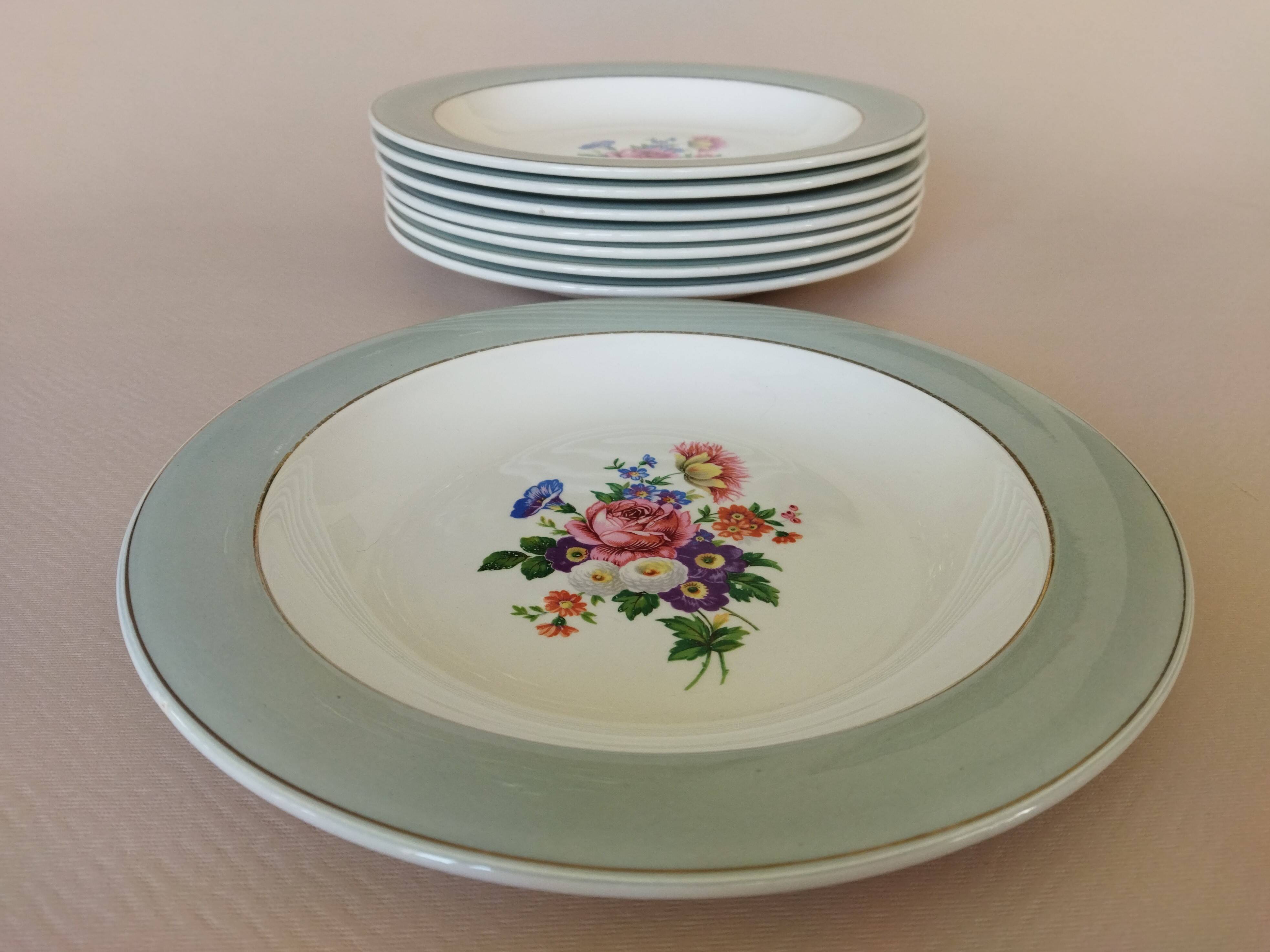 8 semi-deep plates Salins Opaceline 702