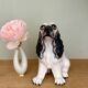 Vintage ceramic dog