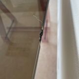 Office glass tray on trestles altuglass 1970s