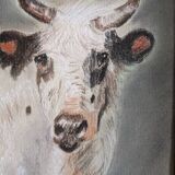 Animal pastel, study of a white cow.