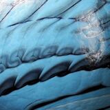 Murano glass centerpiece, bowl or large bowl "Yourmurano"