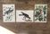 Ornithological board