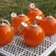 Set of 5 orange glass ball pendants from the 70s