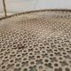 Mategot Mathieu tray