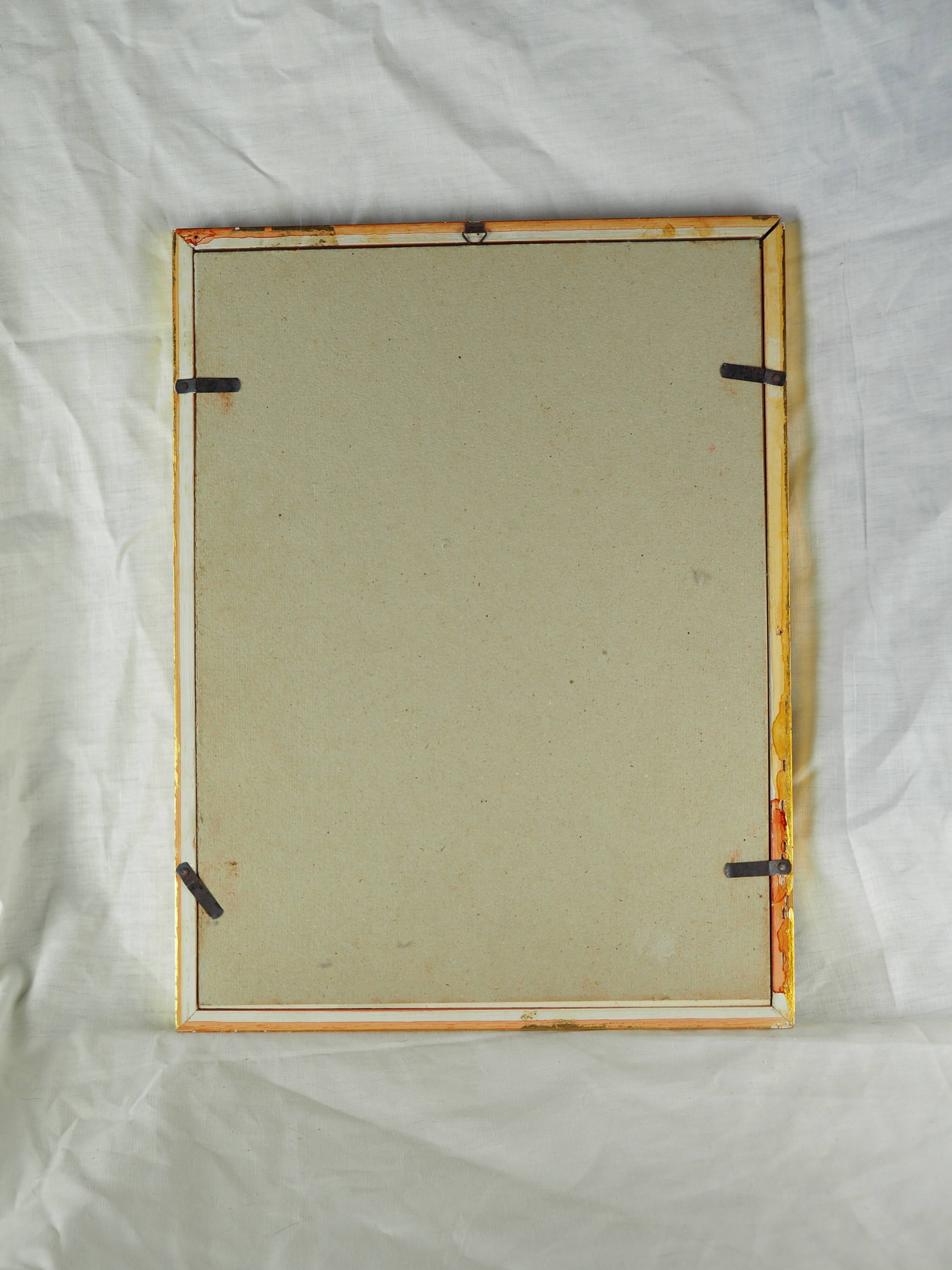 Lithography with Bouguer's Hummingbird foraging (Urochroa bougieri) - J. Gould and H.C. Richter - Mid-XIXth