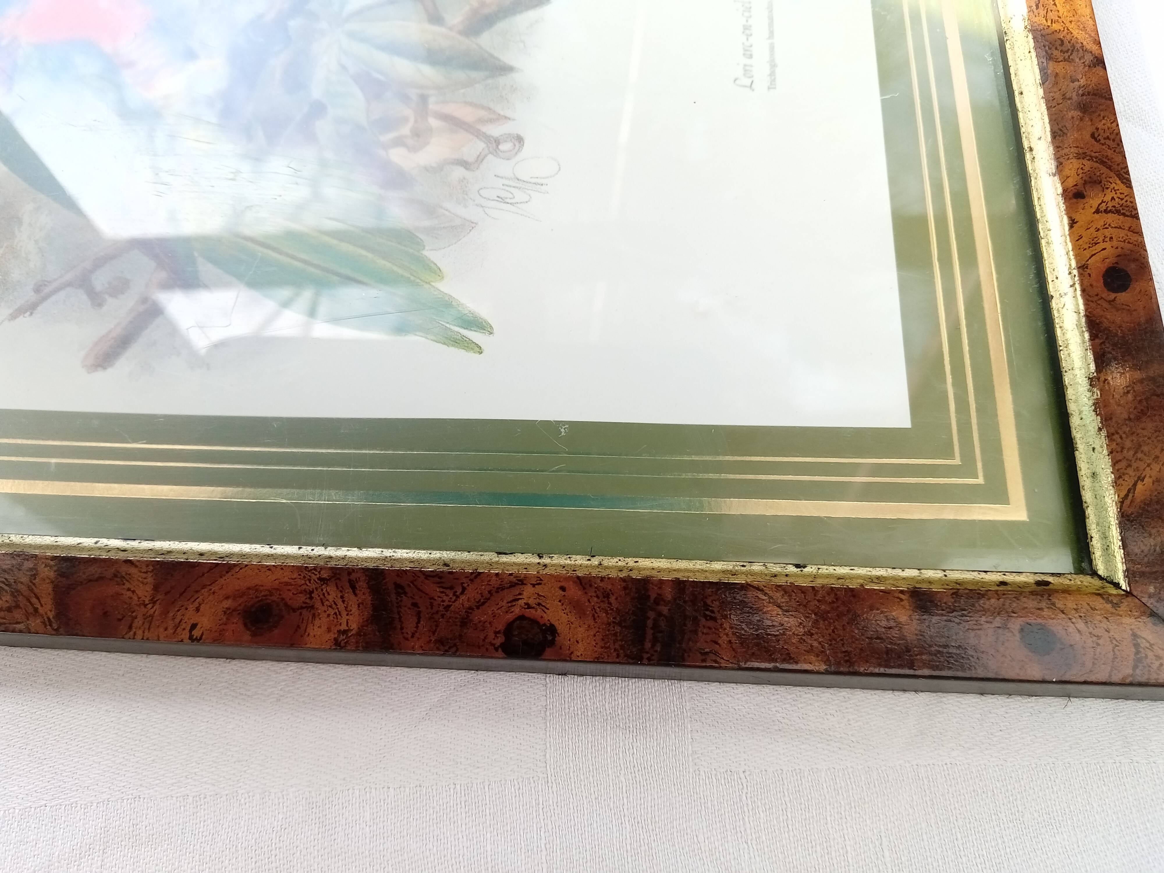 Tableau oiseau Lori